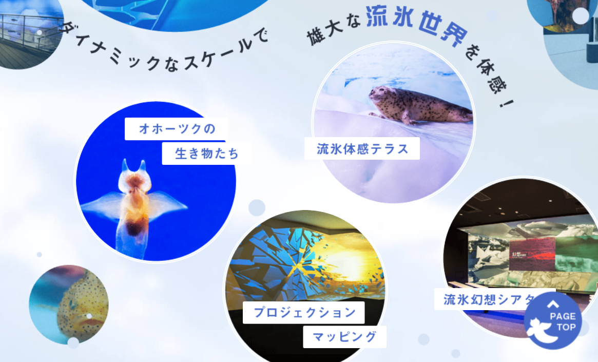 バイク女子部 通信