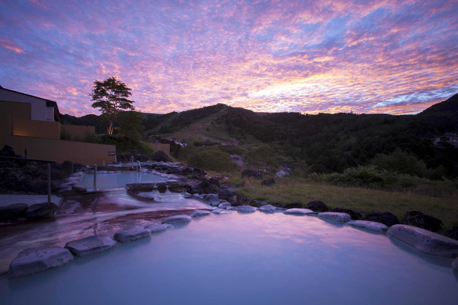 バイク女子部 通信
