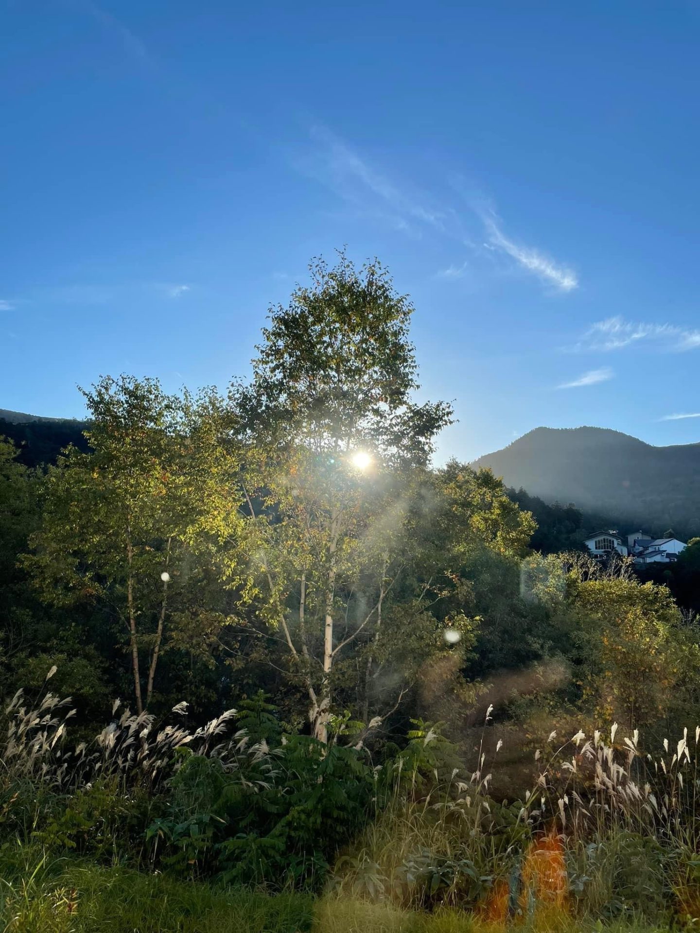 バイク女子部 通信